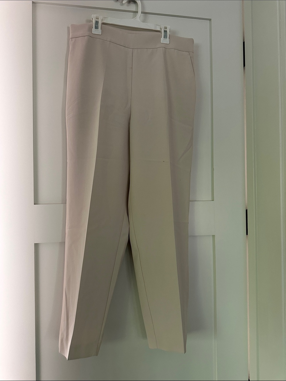 Ann Taylor Light Beige/ Cream Straight-Leg Women's Eva Pants